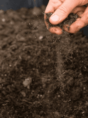 김망둥 흑역사썰 모음집