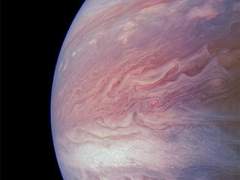 이제는 발음할 수 없는 내 장미에게