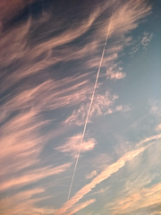 죠죠의 기묘한 모험