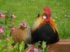 「2022 대한민국 콘텐츠 대상-스토리 부문」 모집 공고 (舊, 대한민국 스토리공모대전)