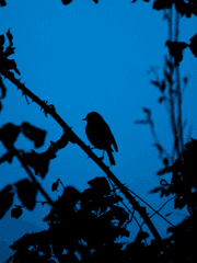 트친들과의 짧은 교류