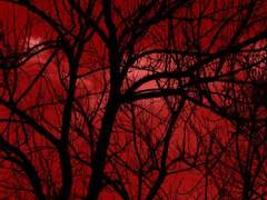 지옥 문이 피에 젖어도 1