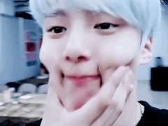 늑대들 사이 장미 한 송이 - 19