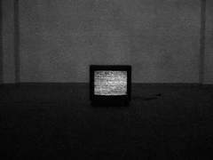 [YLOCK] The End is Near (2020)