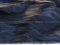 Adele Fave。11。Xy