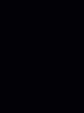 Amarntus : 염원하는 것