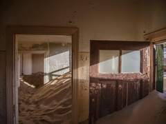 열매, 꽃, 잎사귀, 가지들이 여기 있소