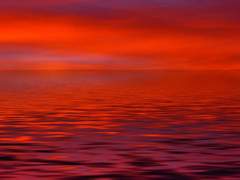 첫째 날의 기록, 백소유