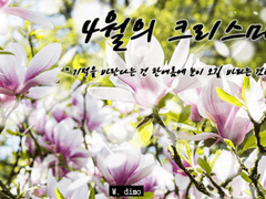 [겐타로🎂] 4월의 크리스마스