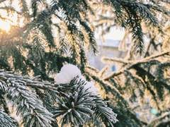 [화산귀환/금송] 사죄