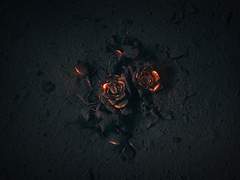 Put me out of my misery