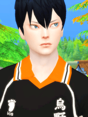 심즈 : 취미생활