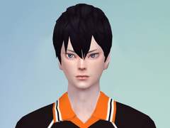 심즈4 / 하이큐 CC창