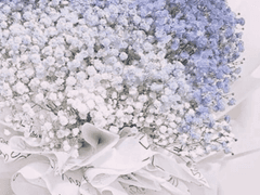 first supplementary story