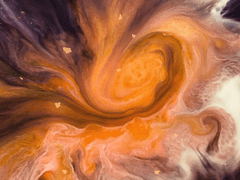 가스펠, 라니야 스칼