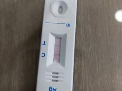 살아남아라 정병러, 코로나 시대!