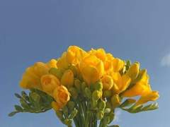 너와 사랑에 빠진 건