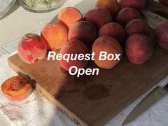 코하른 리퀘스트 박스 오픈