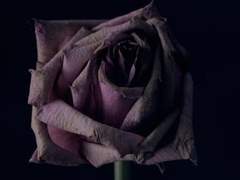 무엇이 그를 악으로 만들었는가.