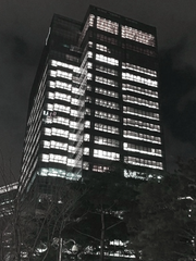 사랑은 좀비를 타고