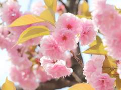 어쩌면 로코? (上)