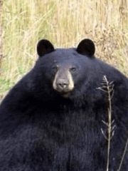 내가 읽고 본 것들