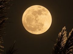 소원은 항상 어긋나 -5