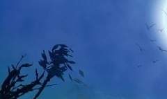 이 생에 무너지는 모든 이에게