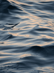 비 - 단편 모음집