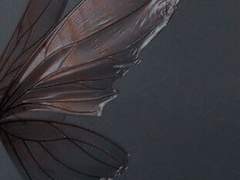 배우 빙의글 잔혹동화 피터팬 프롤로그