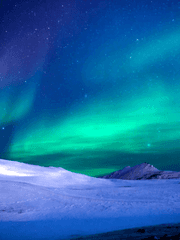 포스타입 공모전