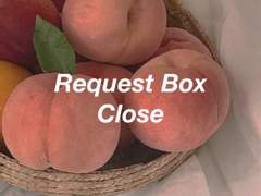 코하른 리퀘스트 박스 마감