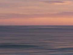 파도에 휩쓸려 사라져버린 너에게 🌊