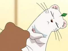 [하이큐 상황문답] 공주님의 결혼 상대