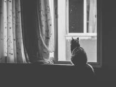 Happy April Fool’s Day