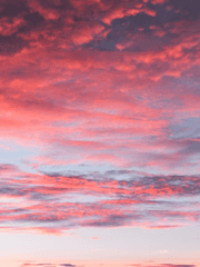 근친충인 우리 형제가 로판에 빙의한 건에 대하여