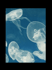 찰랑찰랑-파도조각 창작