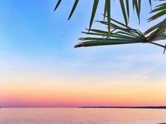 [이즈안즈] 한여름 밤의 꿈