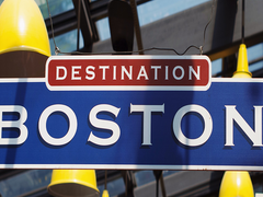 체스트넛 109 - G