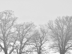 [중혁독자] 따뜻한 얼음 -Prologue-