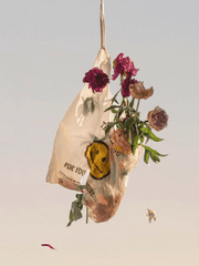 단편 카이신 모음