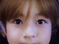 말랑 콩떡 애기 고먐미 화닌쥰을 소개합니다