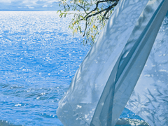 H.브라이트와 불가사의한 사건들 上