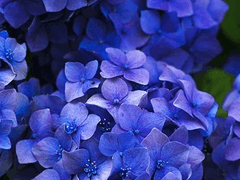 In order for the light to shine so brightly,