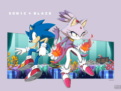 소닉&블레이즈 커버스토리 후편 일부 번역.