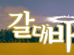 깨끗한 갈대바람