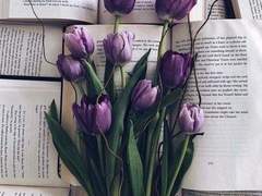 카밀라 하퍼 엘레노어(1)