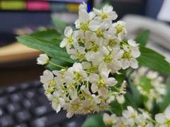 안녕하세요, 몽상가입니다.