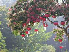 황제의 총애 외전