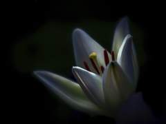 [바니타스] 유유상종(類類相從) (with. 휴)